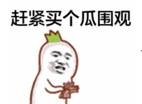 皇上吃瓜表情包,揭秘宫廷中的幽默瞬间