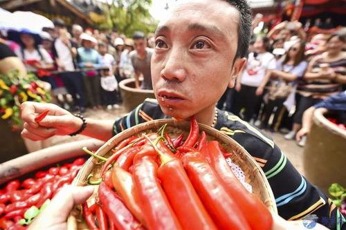 龙岛吃瓜大队,揭秘网络热点的幕后故事