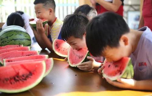 吃瓜免票,揭秘娱乐圈幕后真相