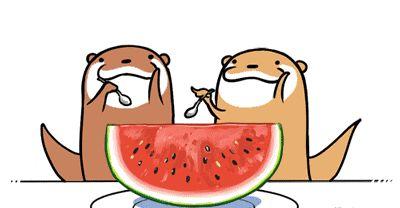 躺着吃免费的瓜,揭秘躺着吃免费瓜的秘诀