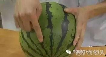 掌握吃瓜资料的人,揭秘娱乐圈背后的真相与八卦