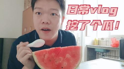 vlog 日常吃瓜