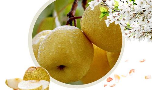 怀孕吃酥瓜好吗,酥瓜对孕妇的影响与适宜食用建议