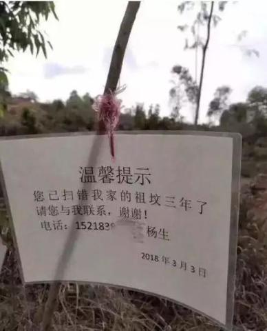 梦见我妈吃瓜,揭秘梦中母亲吃瓜的神秘寓意