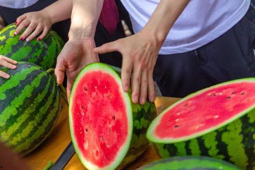 郑州学校吃瓜,揭秘校园里的那些“秘密”