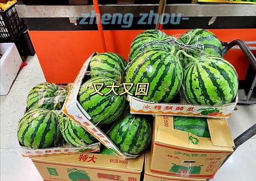 郑州学校吃瓜,揭秘校园里的那些“秘密”