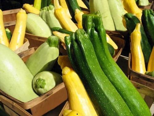 南中医吃瓜,吃瓜群众的养生秘籍