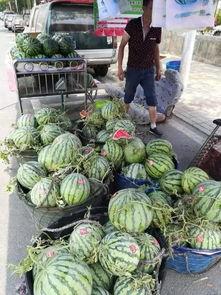 烟台牟平网友吃瓜事件