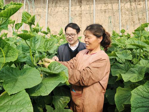 烟台牟平网友吃瓜事件