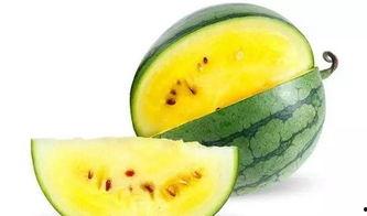 吃架瓜好不,吃架瓜,好不惬意