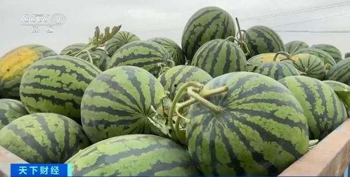 发饰届吃瓜,揭秘明星们的时尚“吃瓜”大战