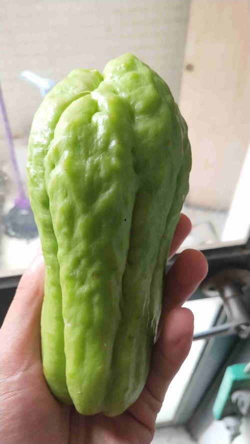 云南圆角瓜怎么吃,云南圆角瓜的多彩食法探索