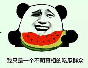 你吃的是什么瓜,尽在这瓜果飘香